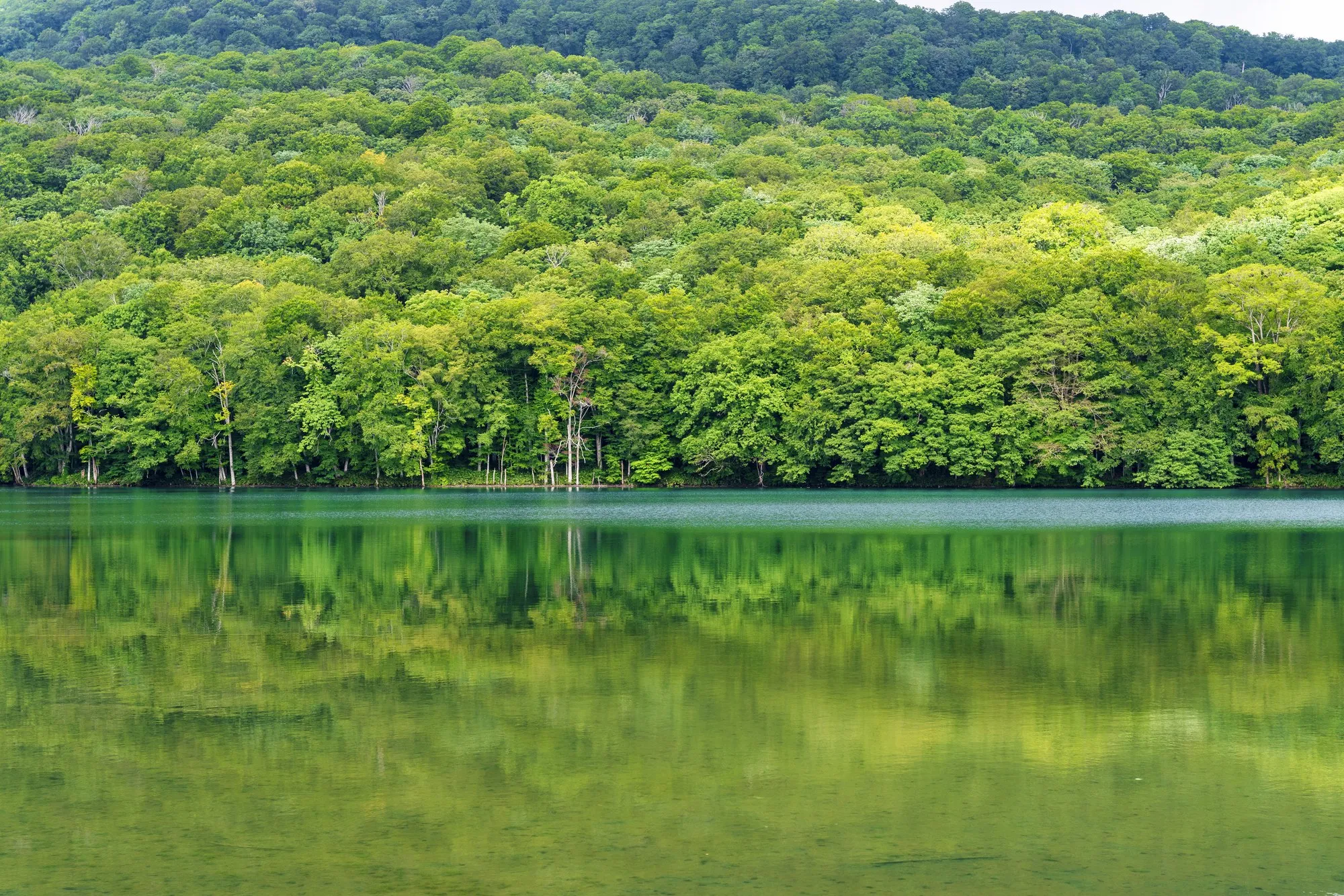 日本國定假日「山之日」，親近山岳、感恩山林的日子